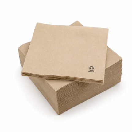 Serviette en papier éco-nature 2 plis 33